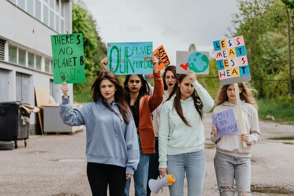 Comment reconnaître un Staffie bleu ?
