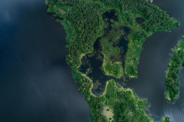 Comment les innovations transforment le jardinage ?